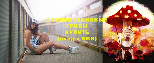 ешки Алзамай